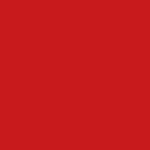 Кромка для Столешницы 50мм Цвет:Красный